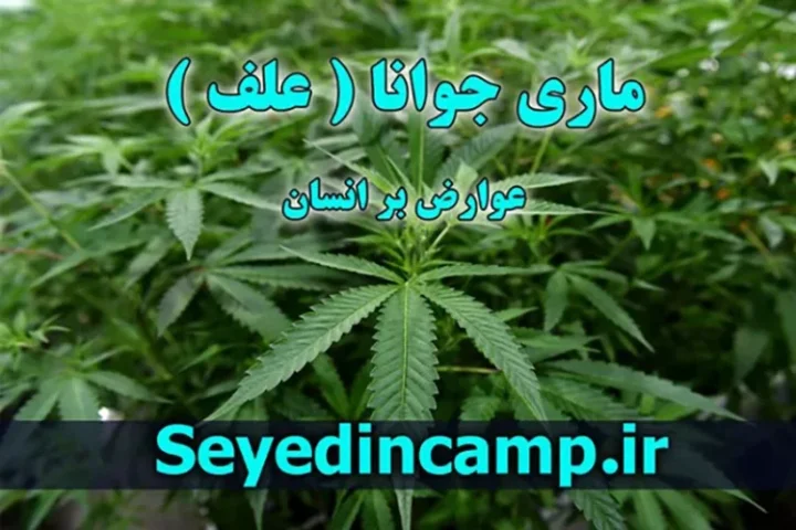 تاثیر انواع مواد مخدر بر سلامت انسان