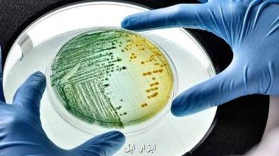 ۱۱۷ محصول زیستی با راهبری شركتهای دانش بنیان تولید می شود